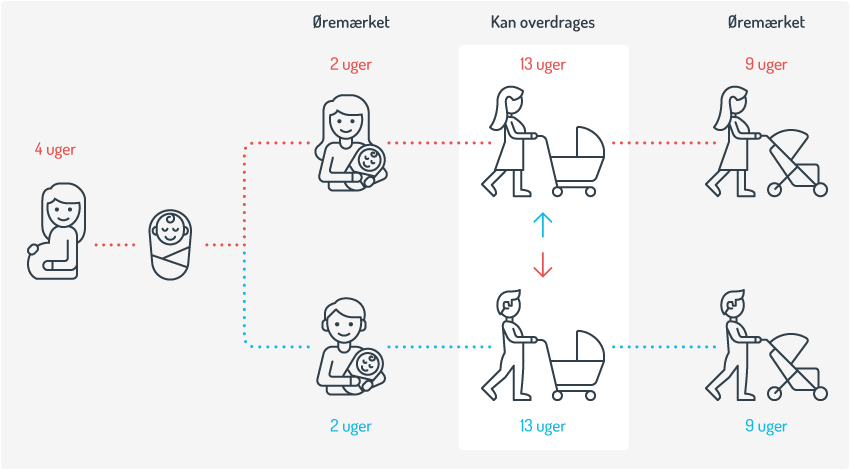 Grafik der viser fordelingen af øremærket barsel