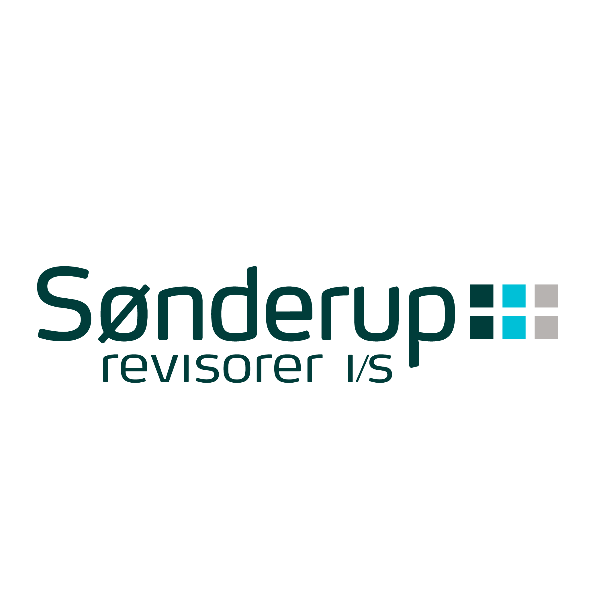 Sønderup Revisorer